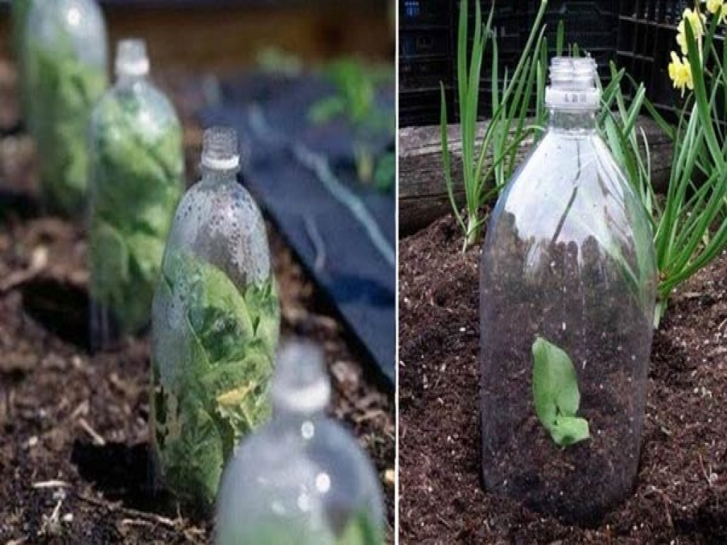 Ketahui 7 Cara Mengolah Limbah Plastik dengan Tepat 