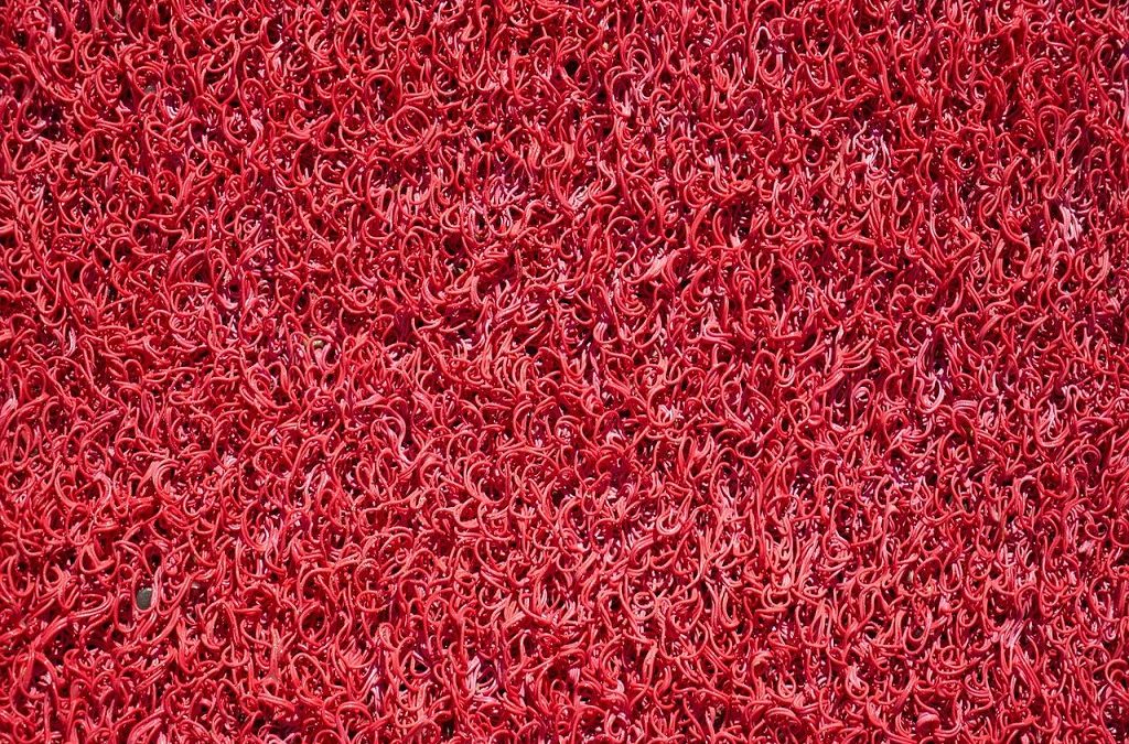  Inilah 5 Jenis Karpet Lantai yang Terbuat dari PVC 