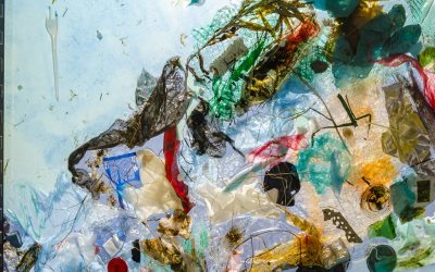 5 Fakta Great Pacific Garbage, Pulau Sampah Terbesar di Dunia