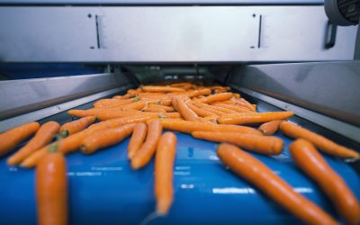 Inilah 5 Kelebihan Belt Conveyor Bahan PVC dalam Proses Produksi Industri Makanan