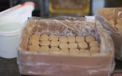 4 Contoh Aplikasi Penggunaan Plastik Pada Industri Bakery