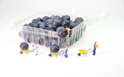 5 Tips Memilih Mika Bening PVC Film yang Tepat untuk Kemasan Produk